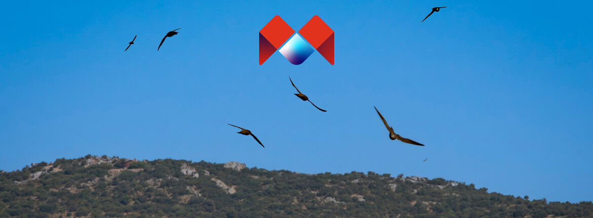 Ven a volar conmigo