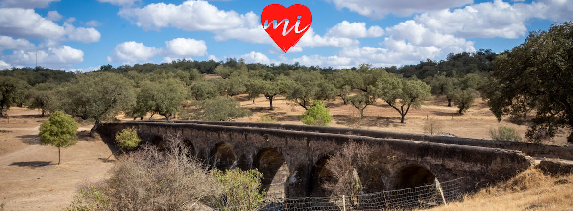 El Puente de la Bogaa