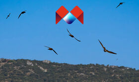 Ven a volar conmigo