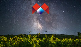 Vino estrellas y corazn Bodegas Caalva