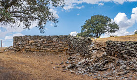 TAMUSIA