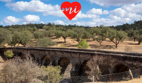 El Puente de la Bogaa