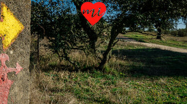 20 Propsitos para un ao en Extremadura