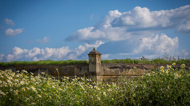 Paseando por Olivenza