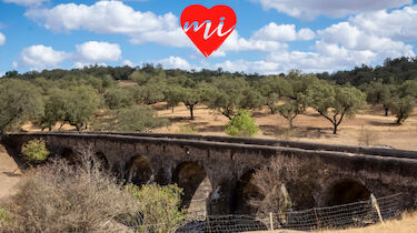 El Puente de la Bogaa