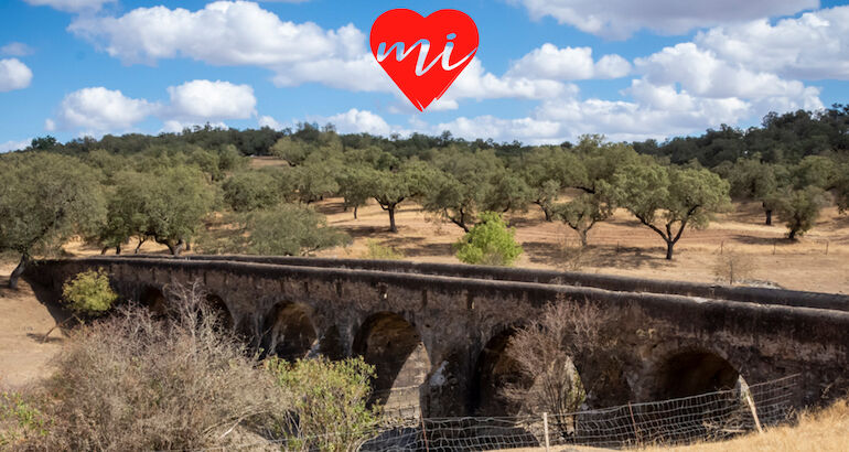 El Puente de la Bogaa