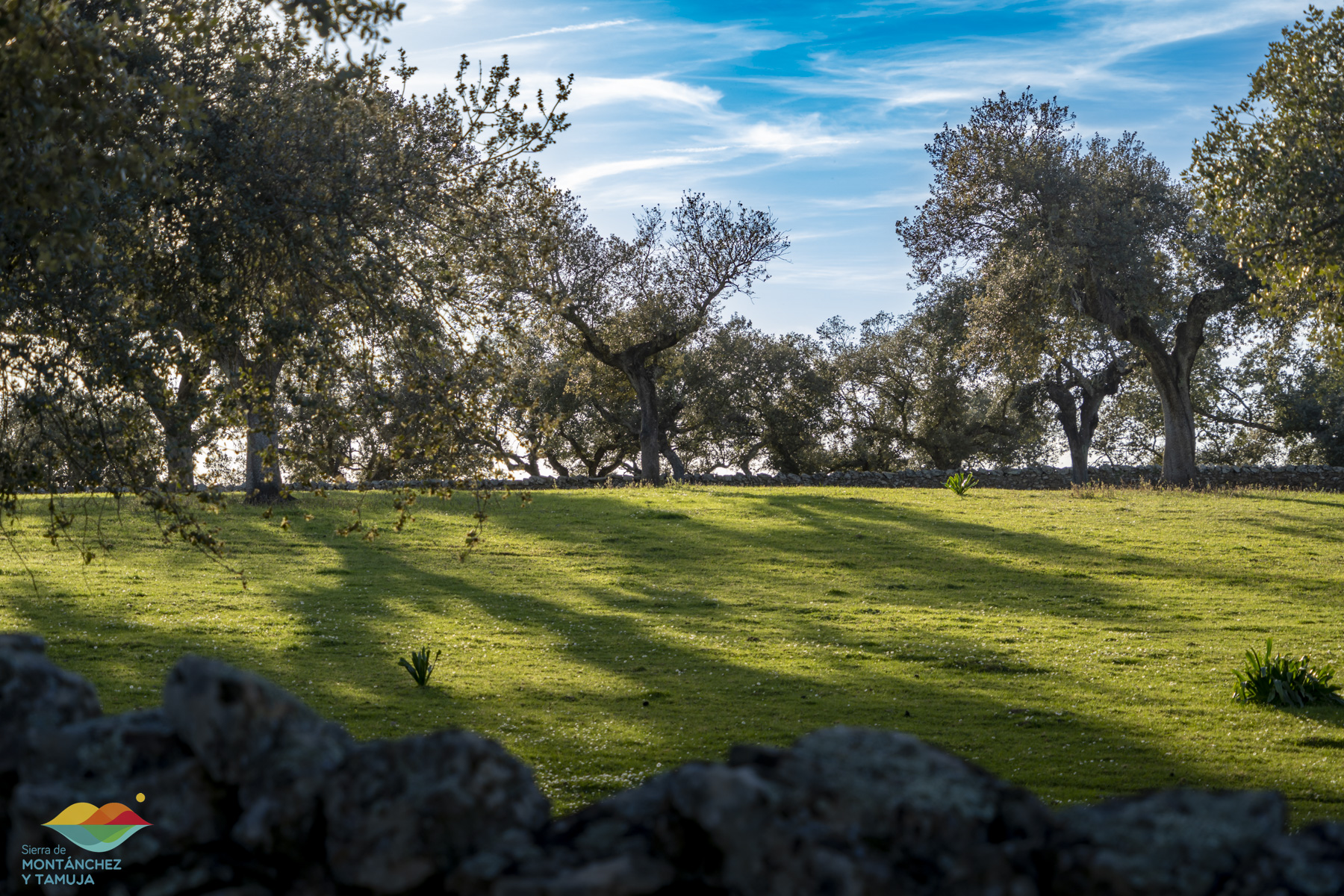 guia naturaleza adismonta