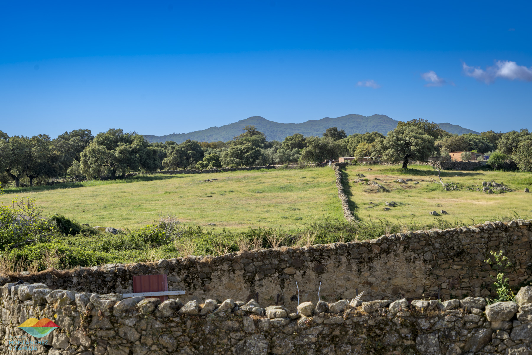 salvatierra santa ana santa marta