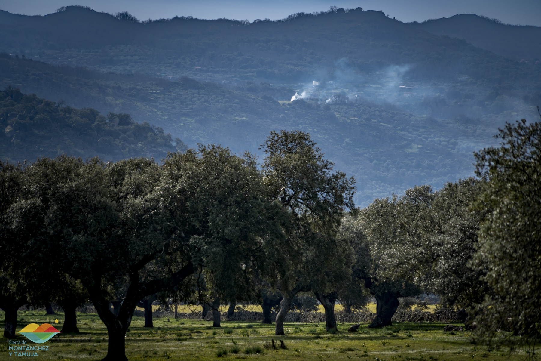 torreorgaz torrequemada valdefuentes valdemorales zarza