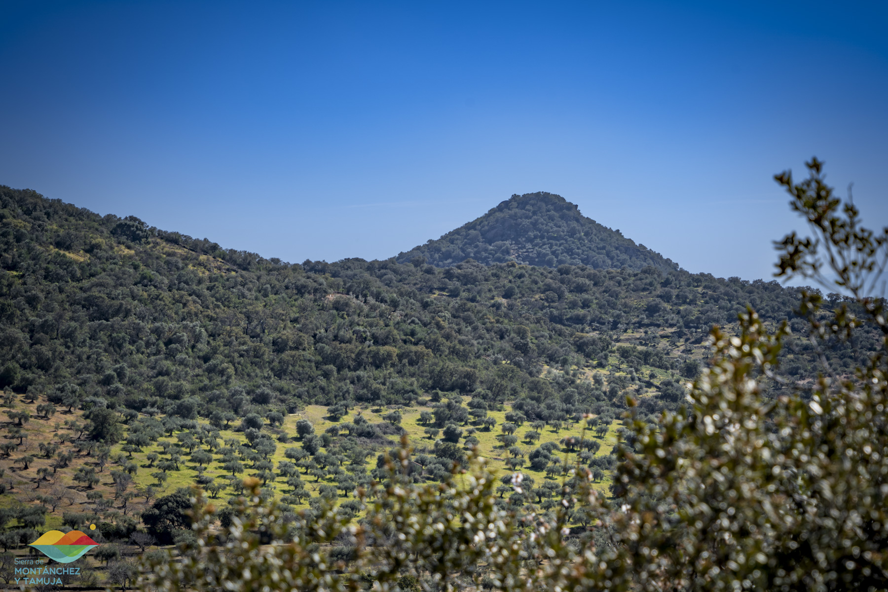 torreorgaz torrequemada valdefuentes valdemorales zarza