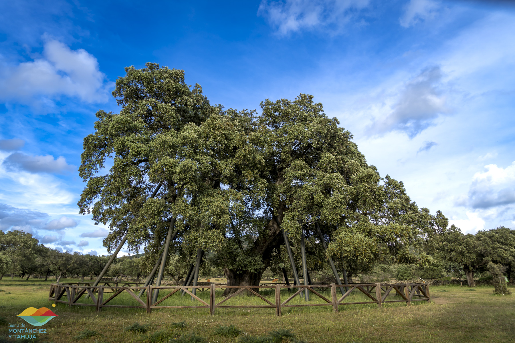 torreorgaz torrequemada valdefuentes valdemorales zarza