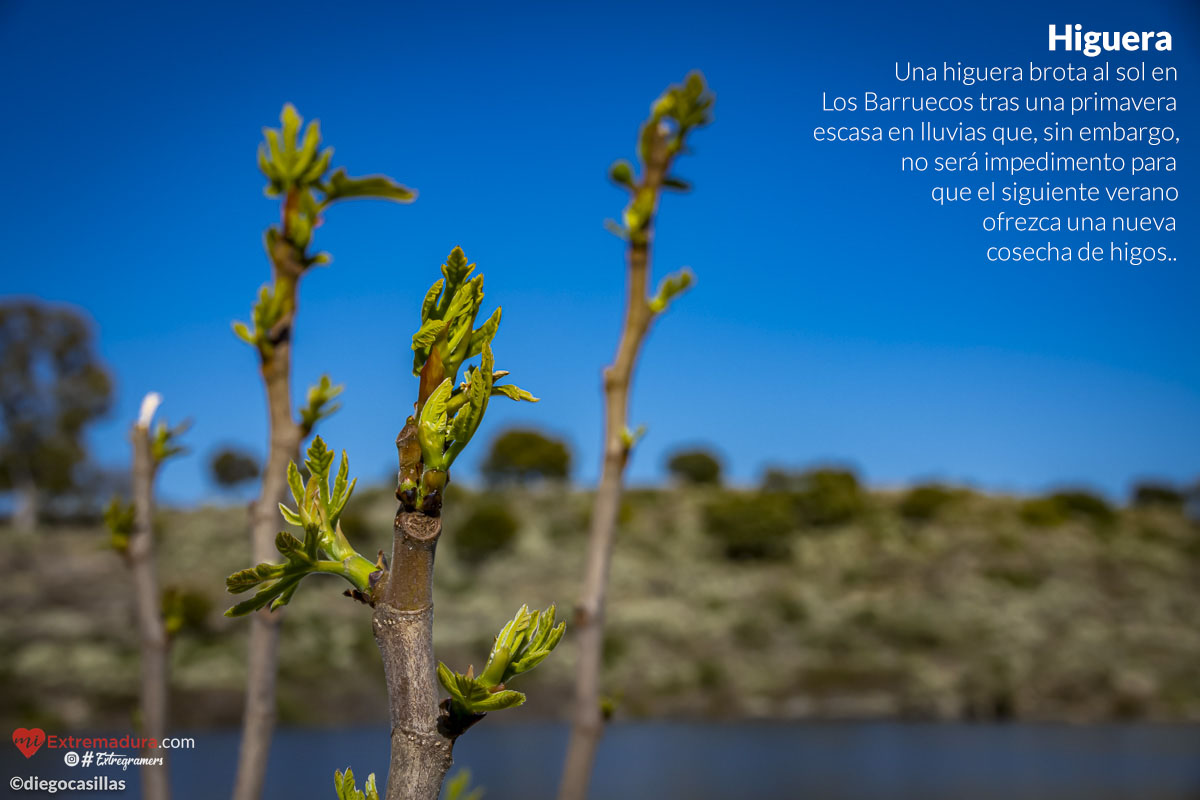 Un paseo por MiExtremadura