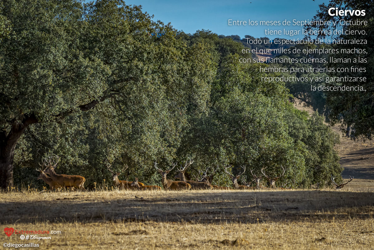 Un paseo por MiExtremadura