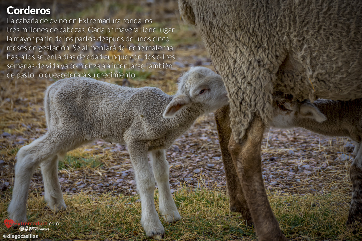 extremadura-es-natural-02