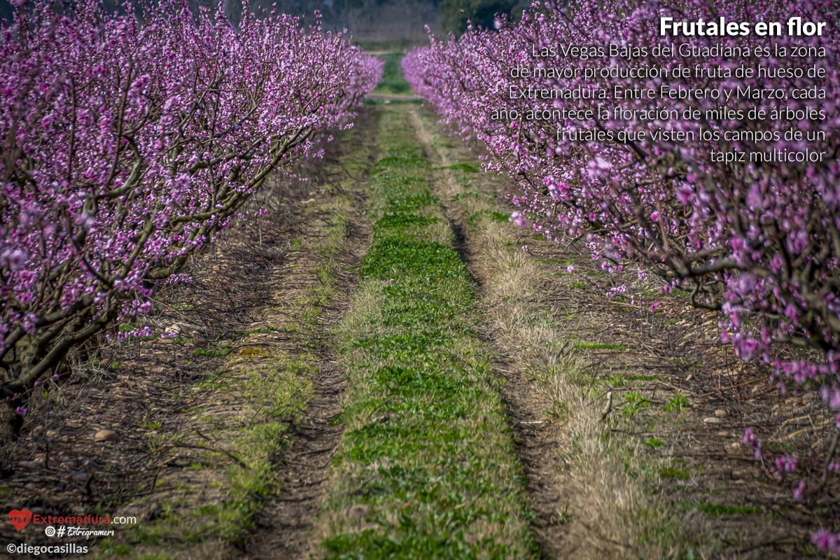 extremadura-es-natural-02