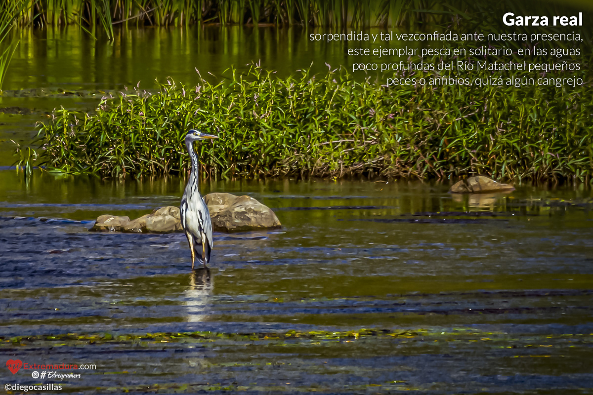 extremadura-es-natural-03