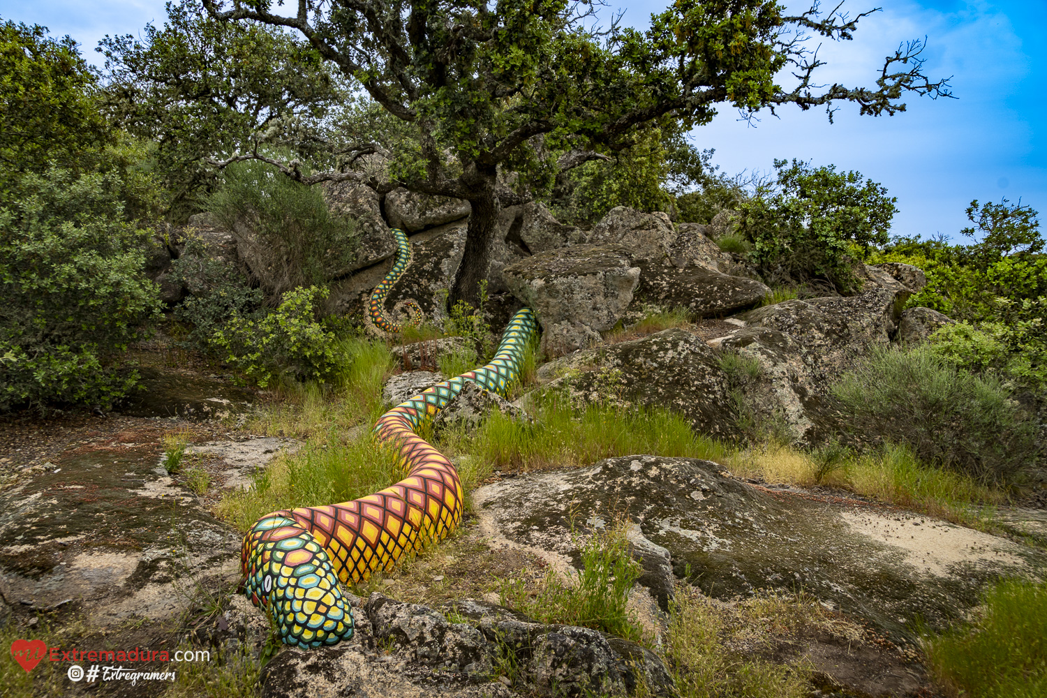 el-bosque-de-to