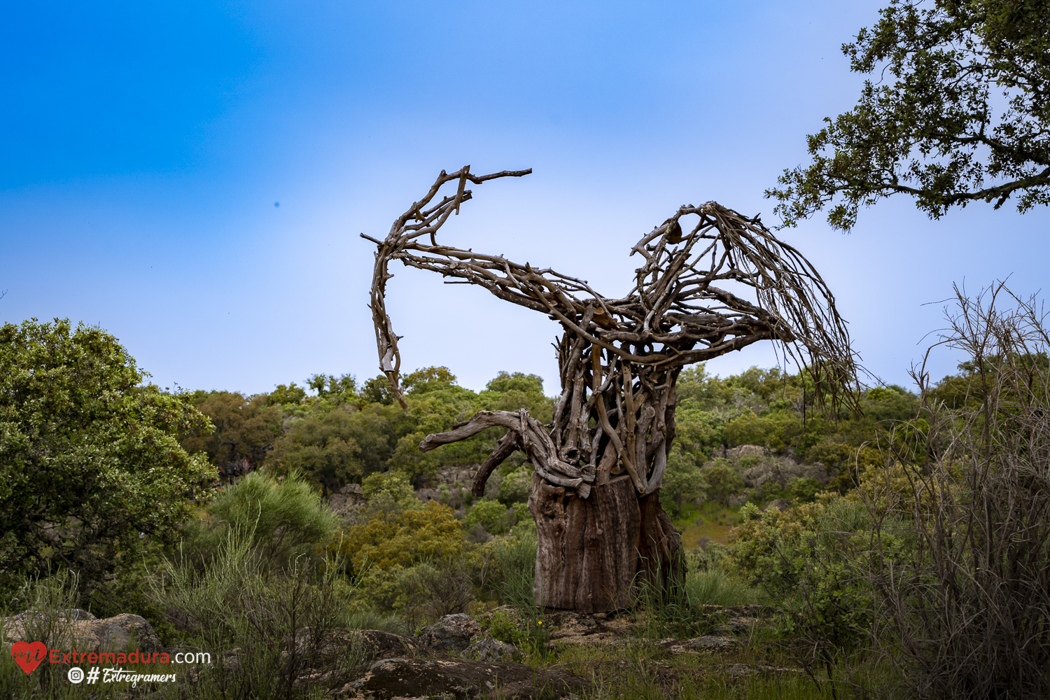 el-bosque-de-to