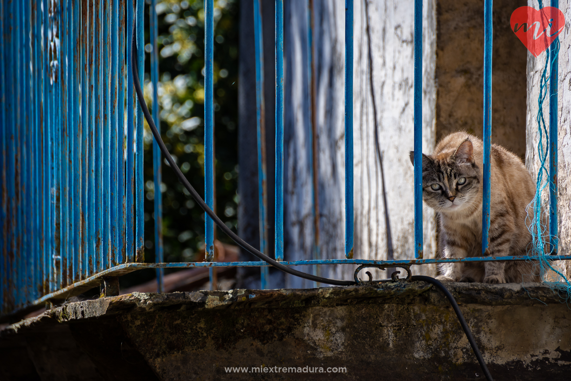 Recuperando lo perdido (I). Robledo (Las Hurdes)