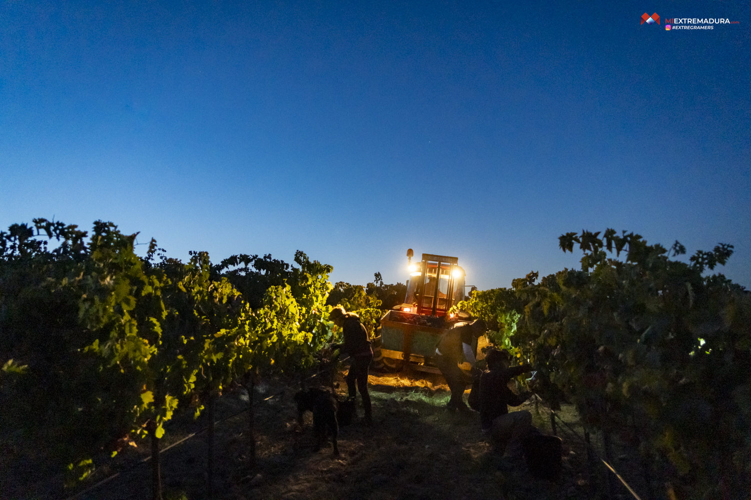 bodegas canalva