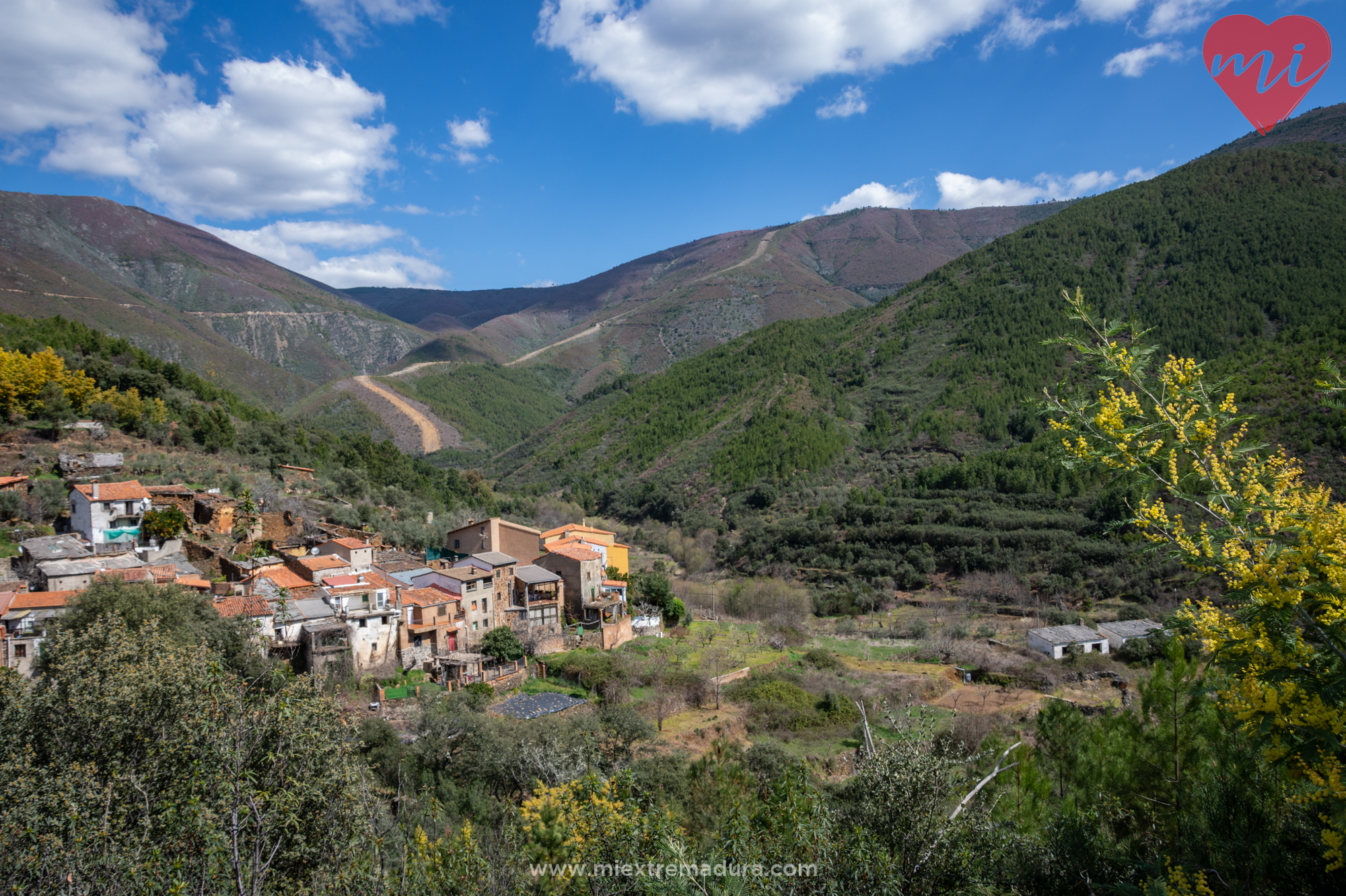 avellanar-las-hurdes