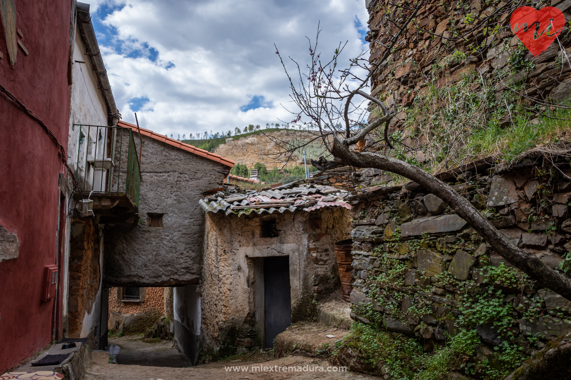 avellanar-las-hurdes