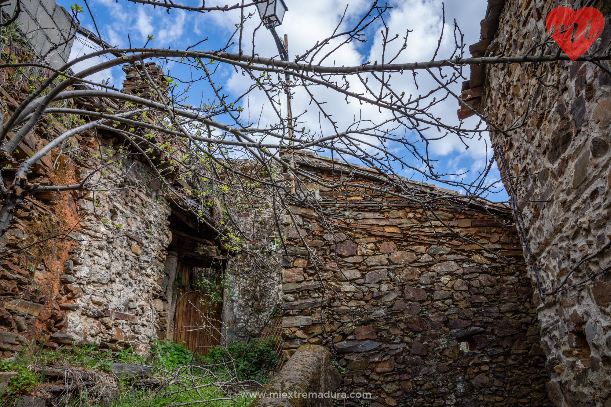 avellanar-las-hurdes