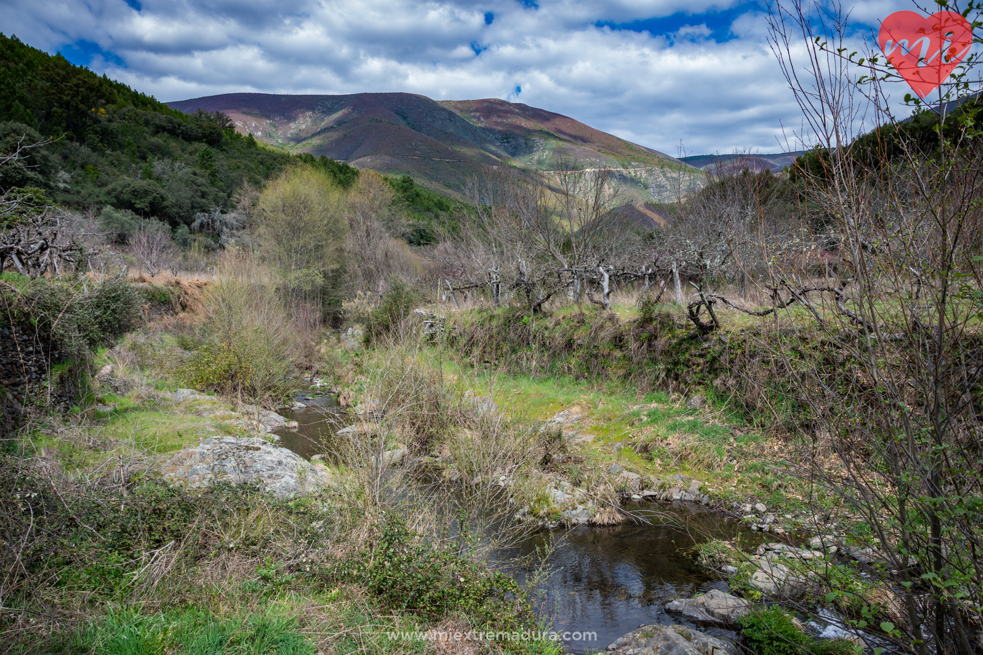 avellanar-las-hurdes