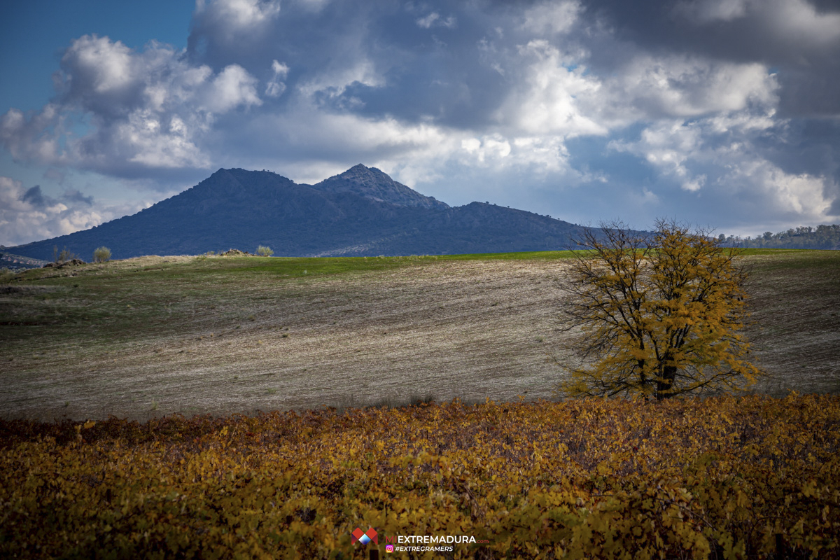 reservaextremadura