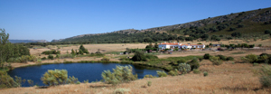 alojares