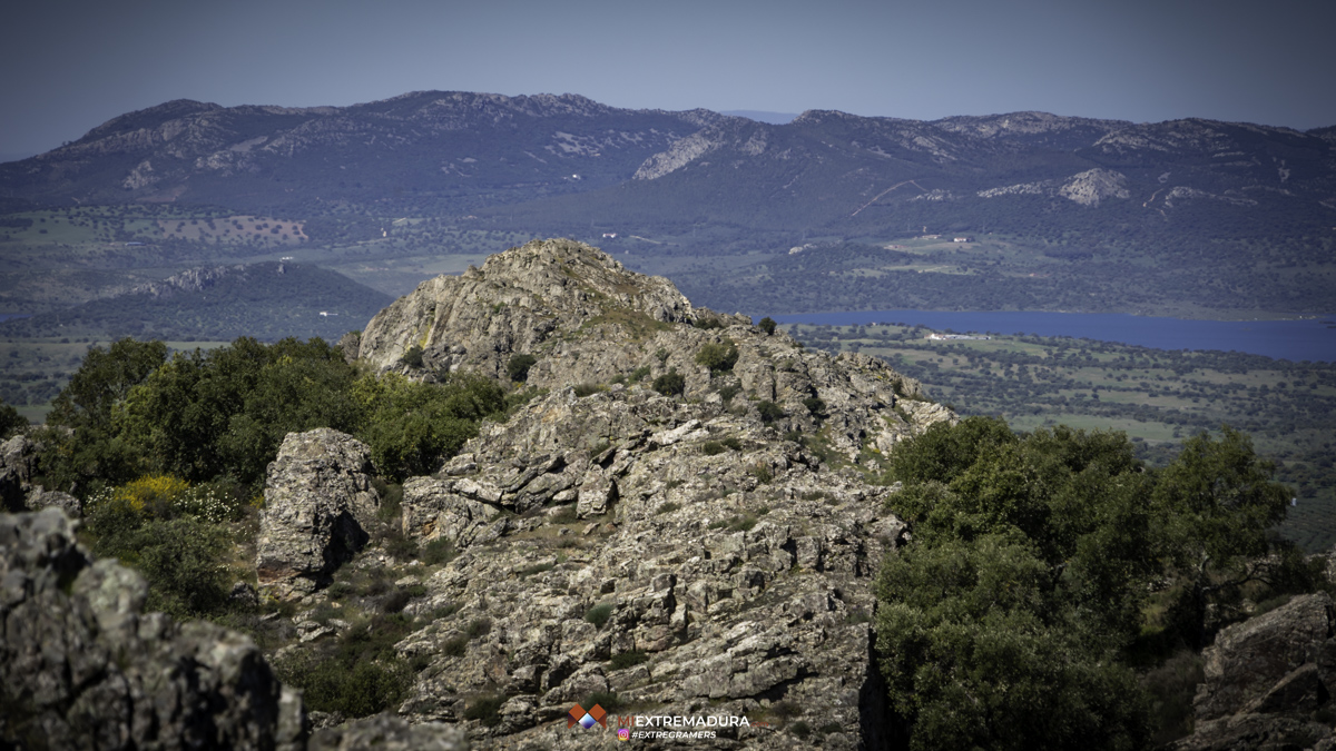 tan alto como la luna