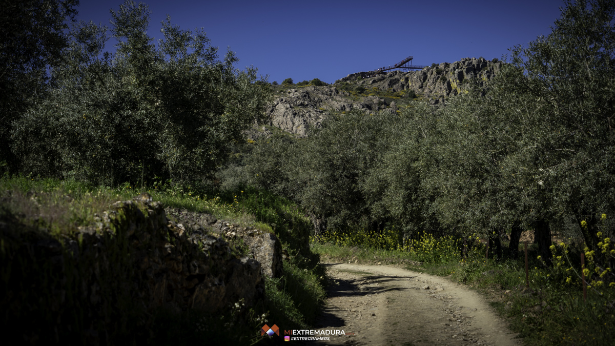 tan alto como la luna