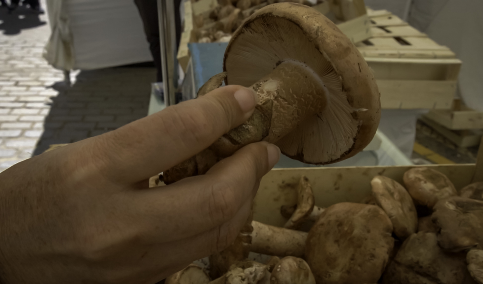 hospederias y gastronomia