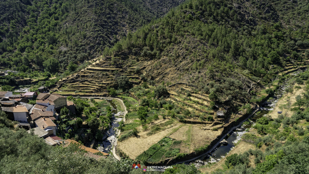 el laberinto de las tortugas