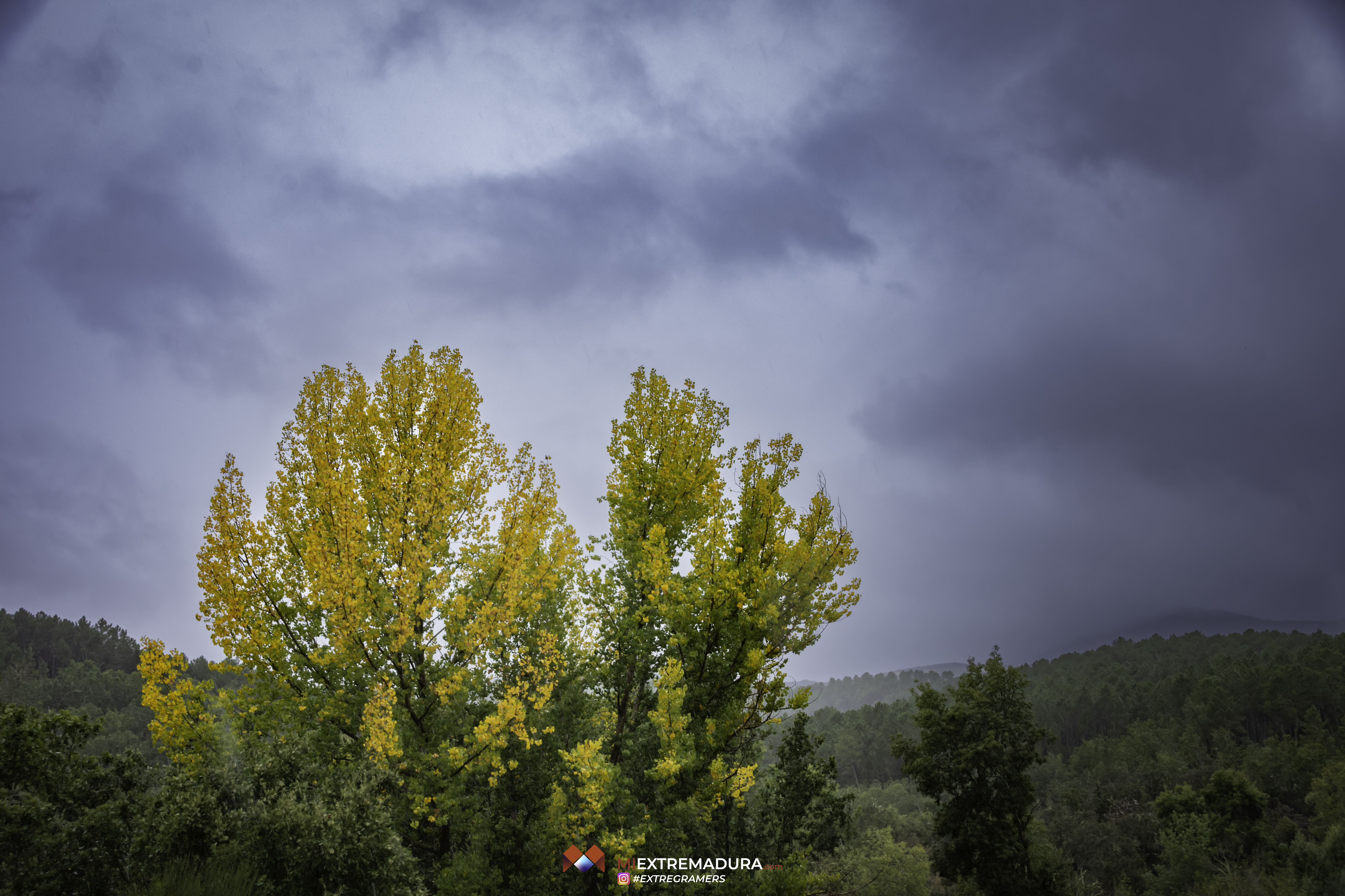 otoño2026