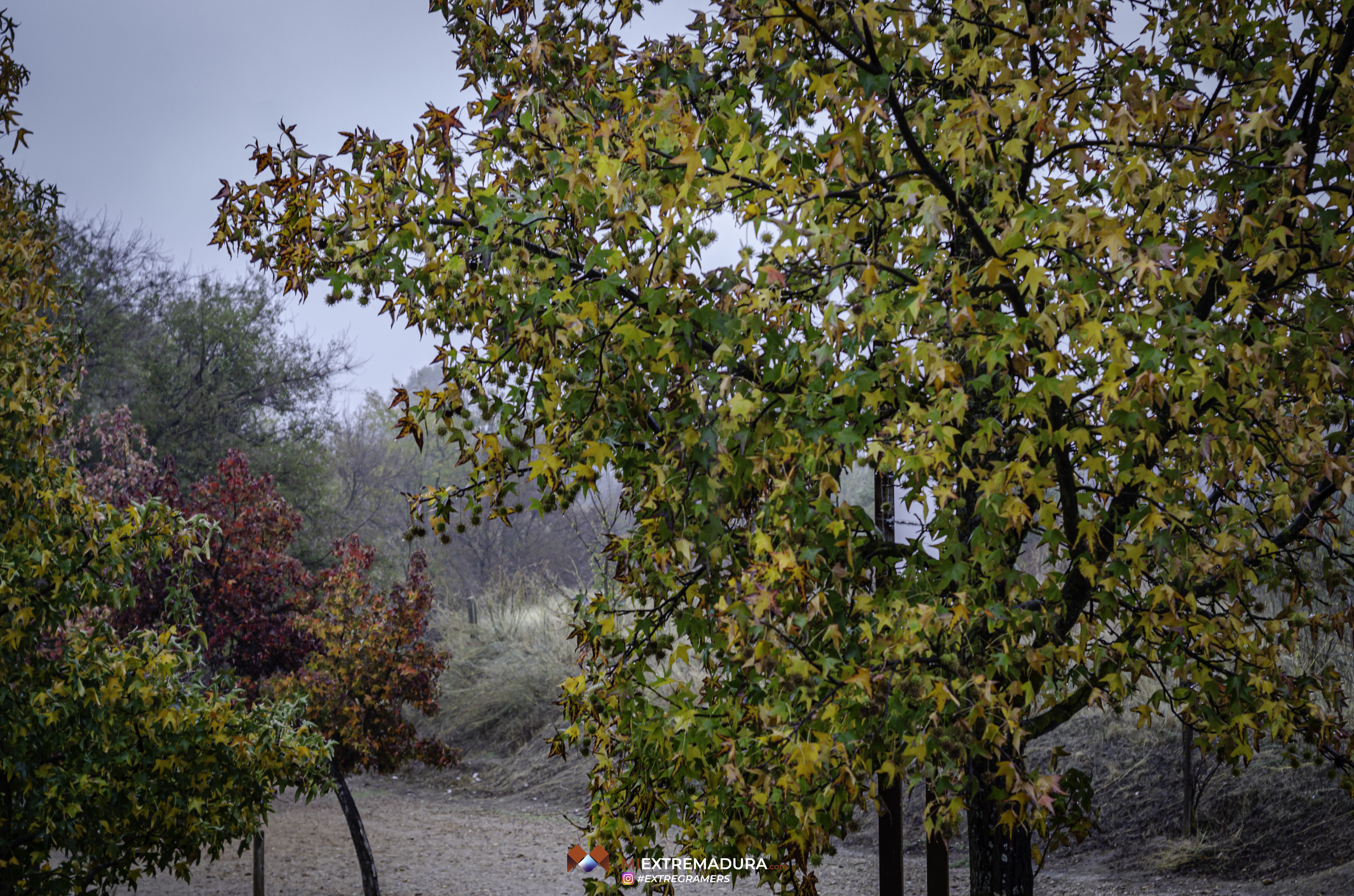 otoño2026