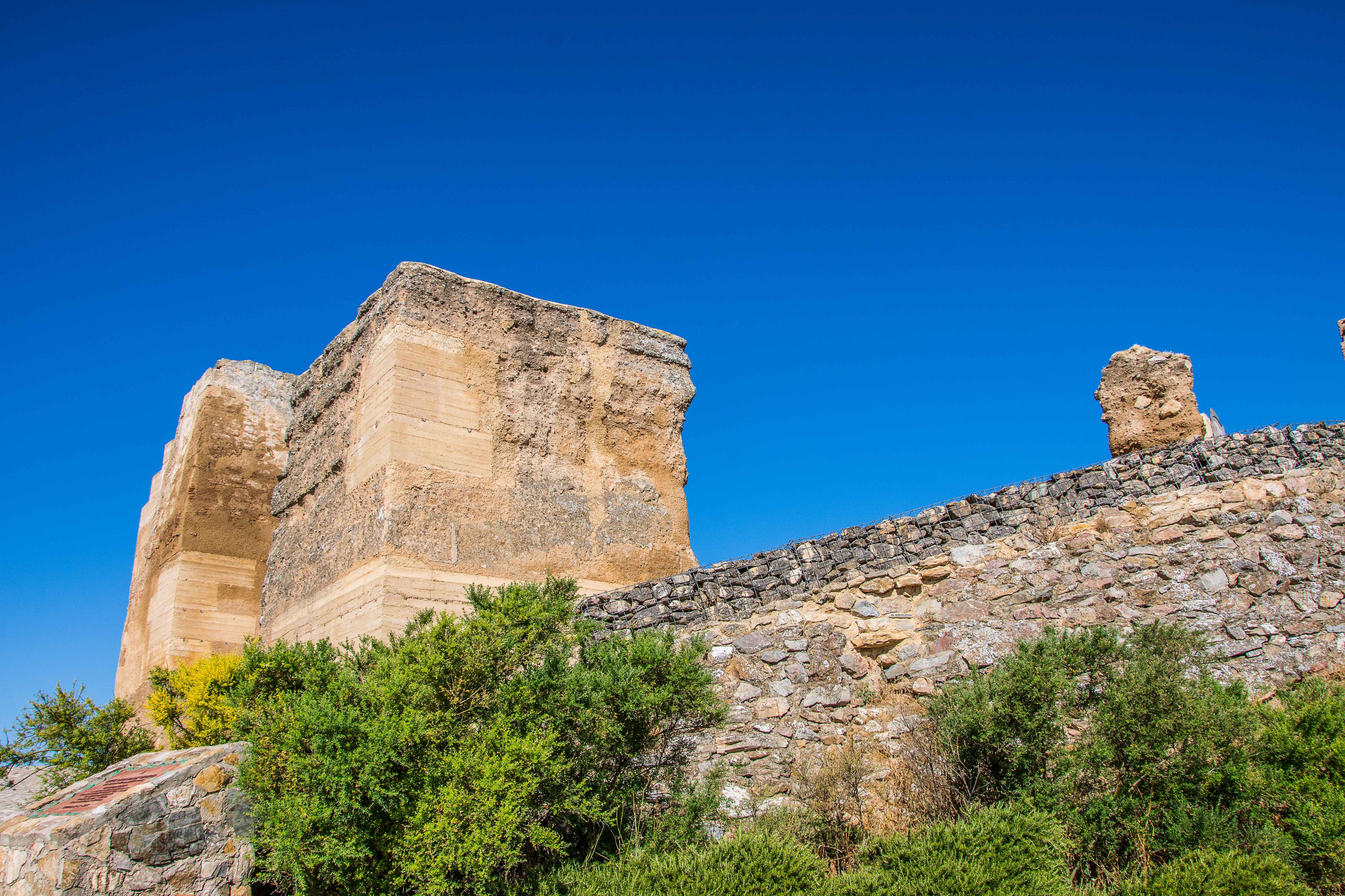 alcazaba de reina