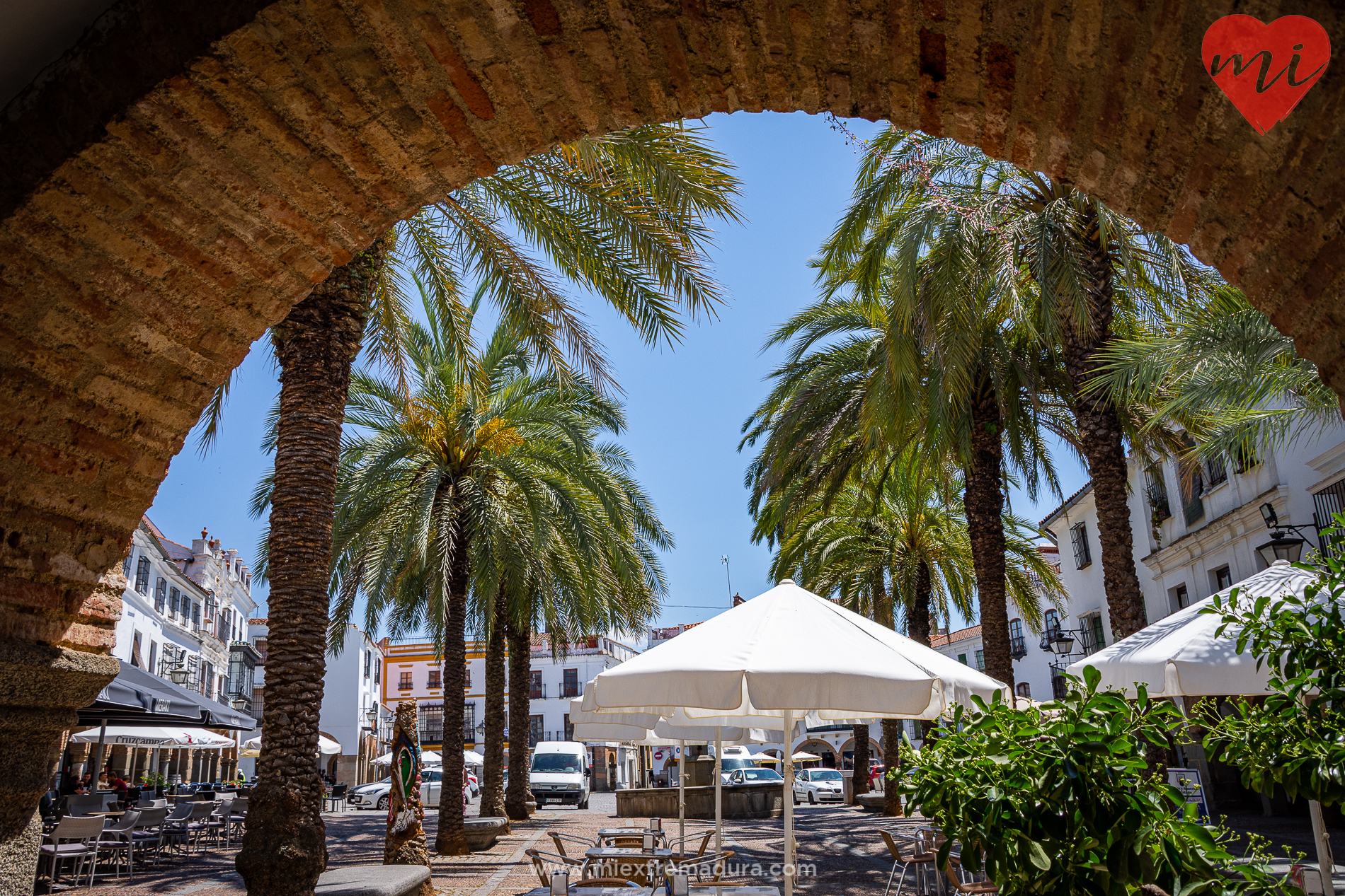 plazas de zafra