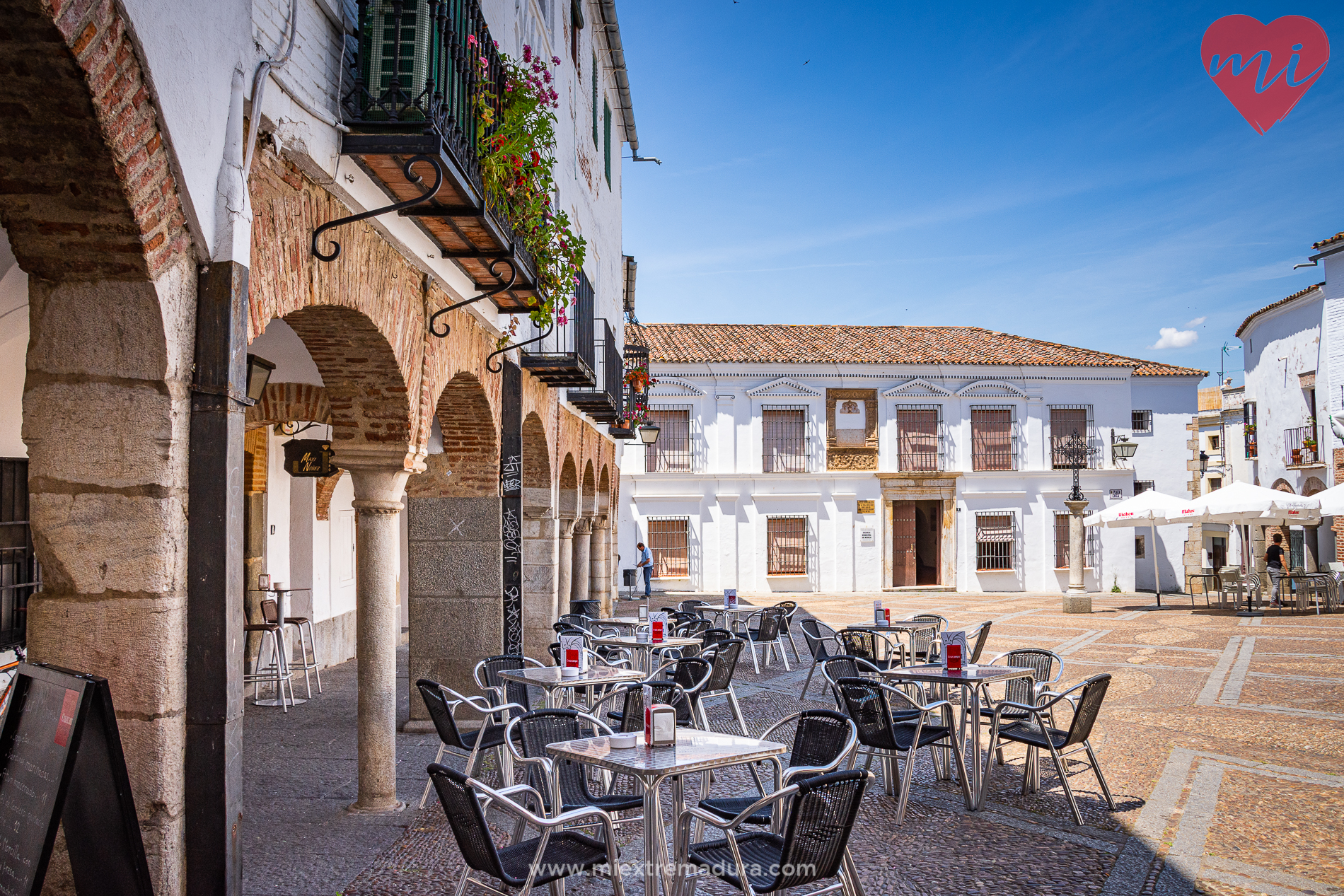 plazas de zafra