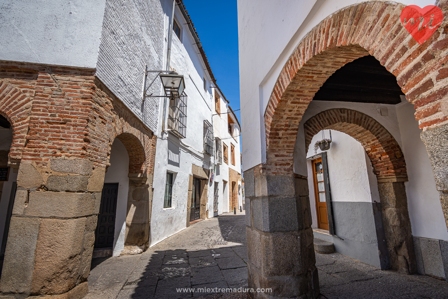 plazas de zafra