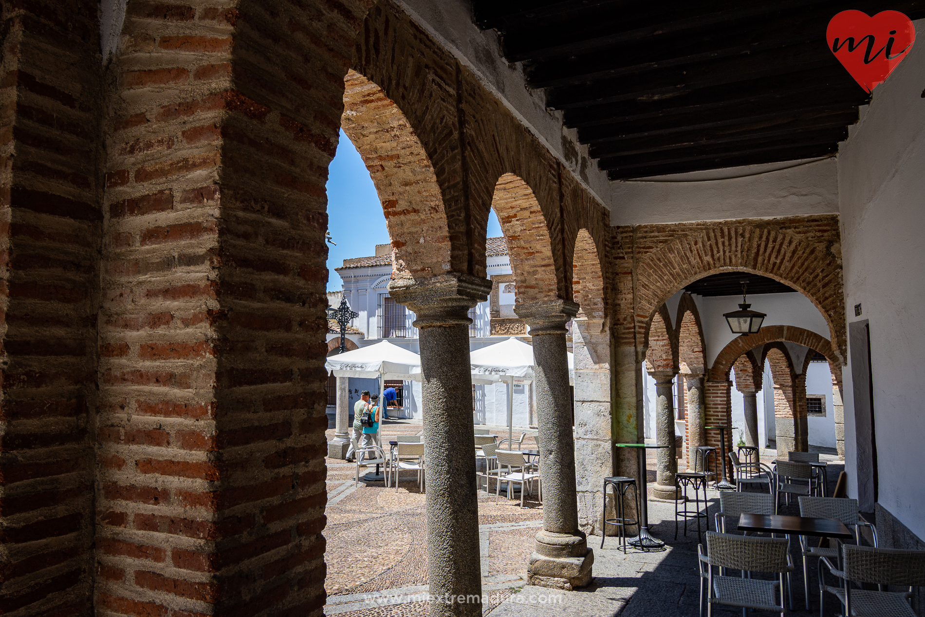 plazas de zafra