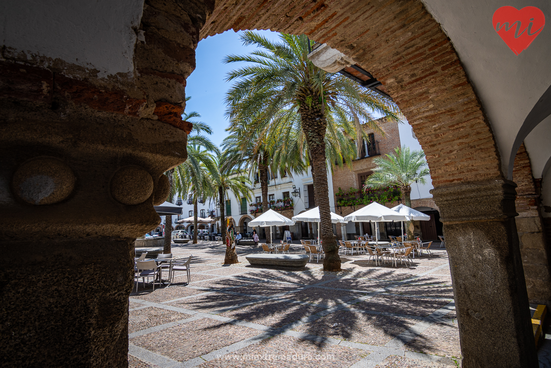 plazas de zafra