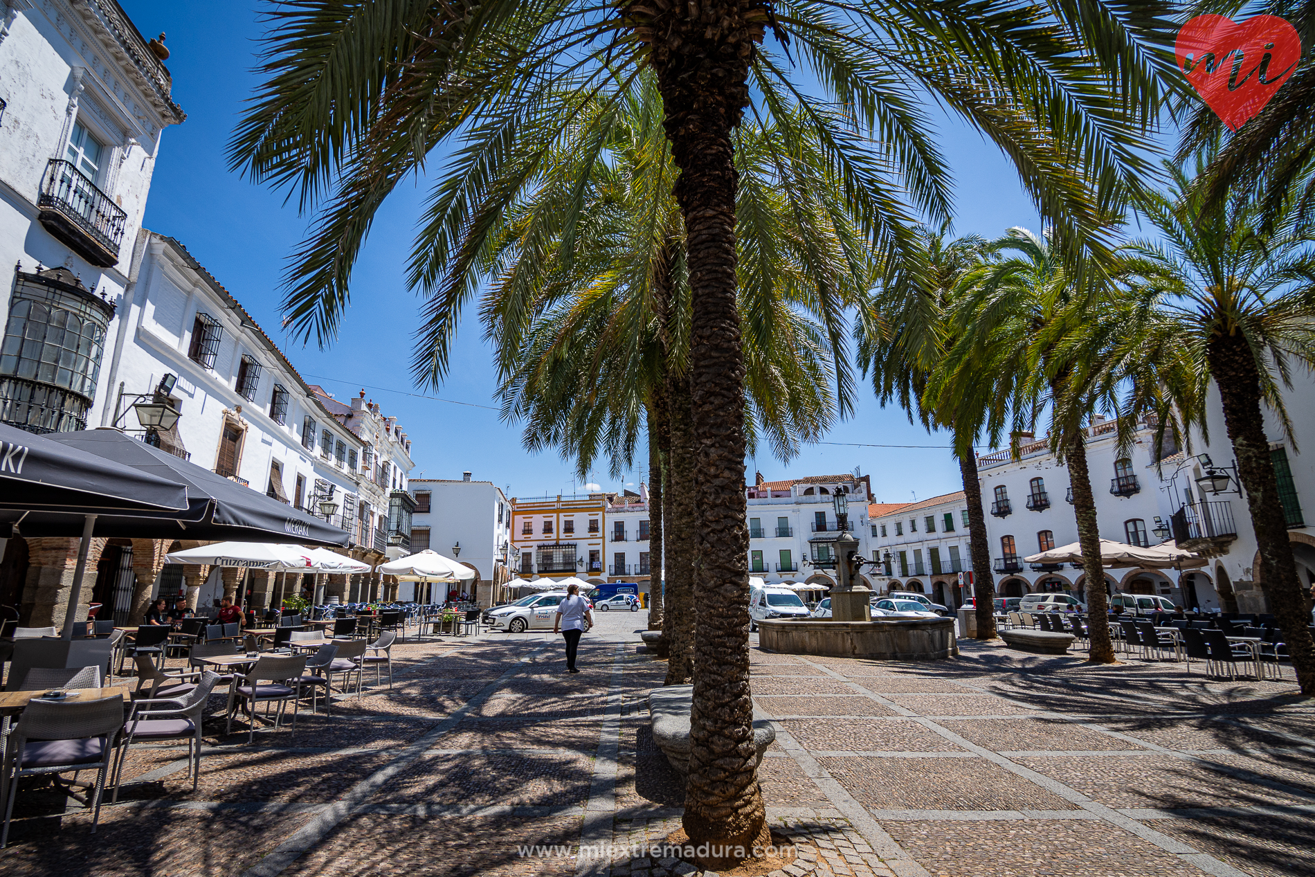 plazas de zafra