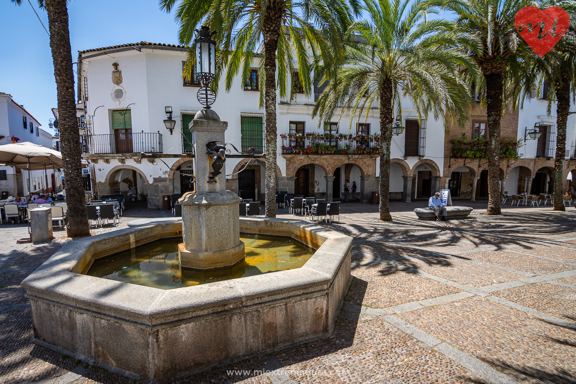 plazas de zafra