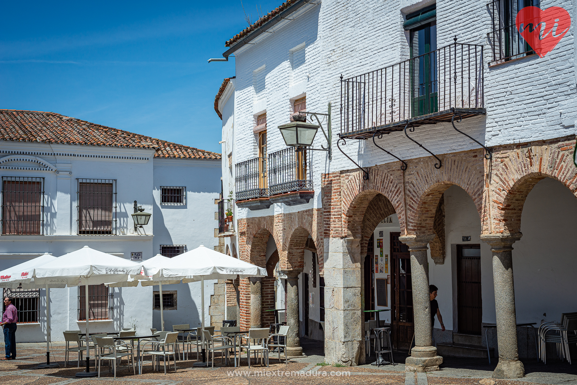 plazas de zafra