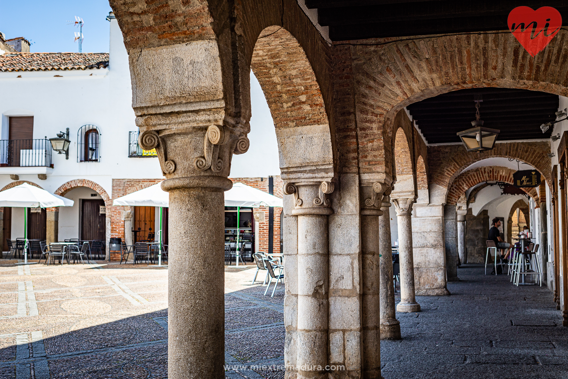 plazas de zafra