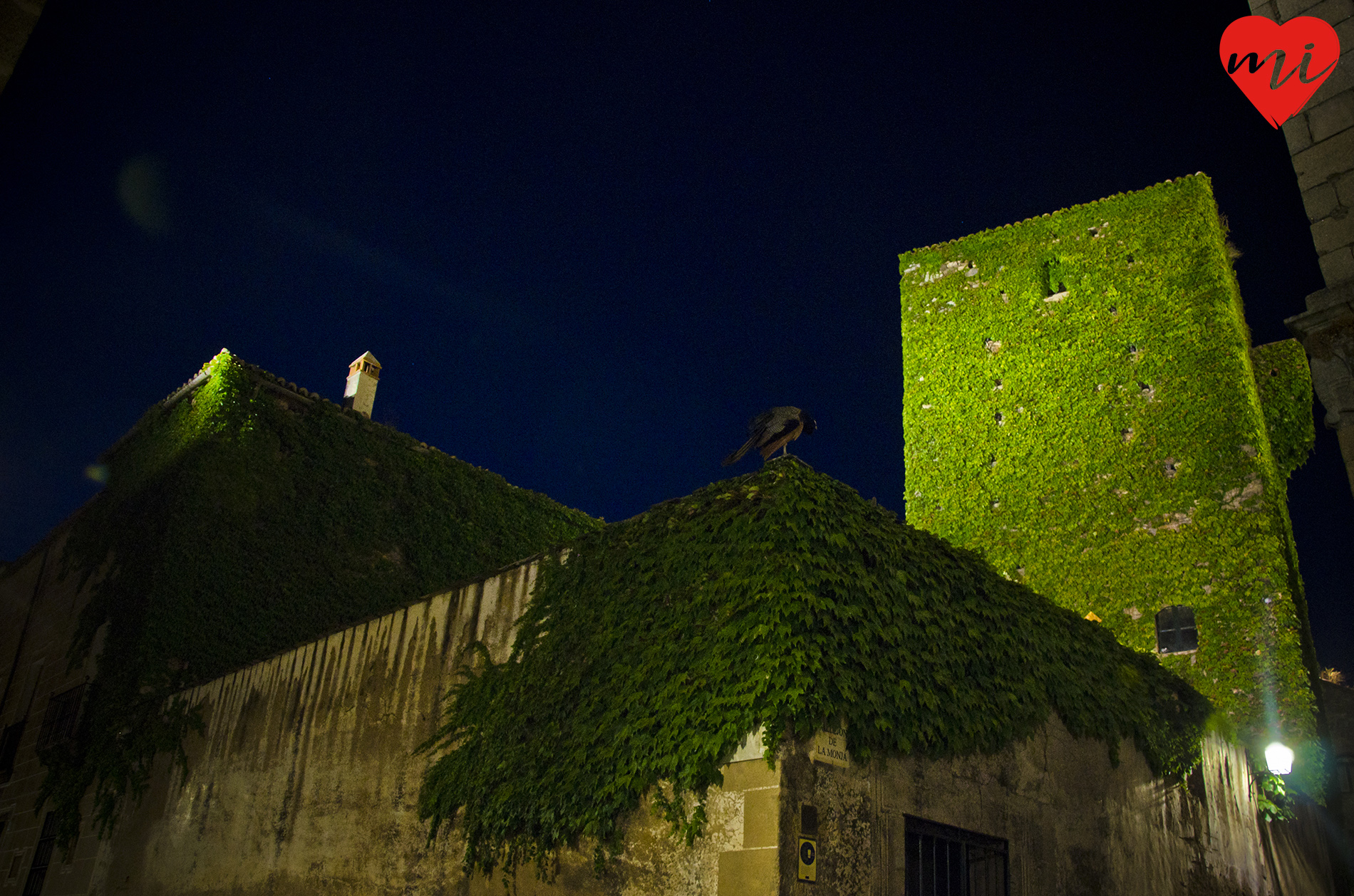 Torre de Sande