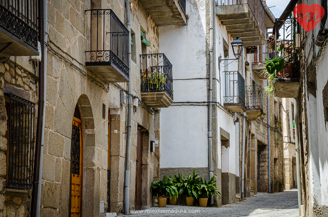 Hoyos-gata-caceres