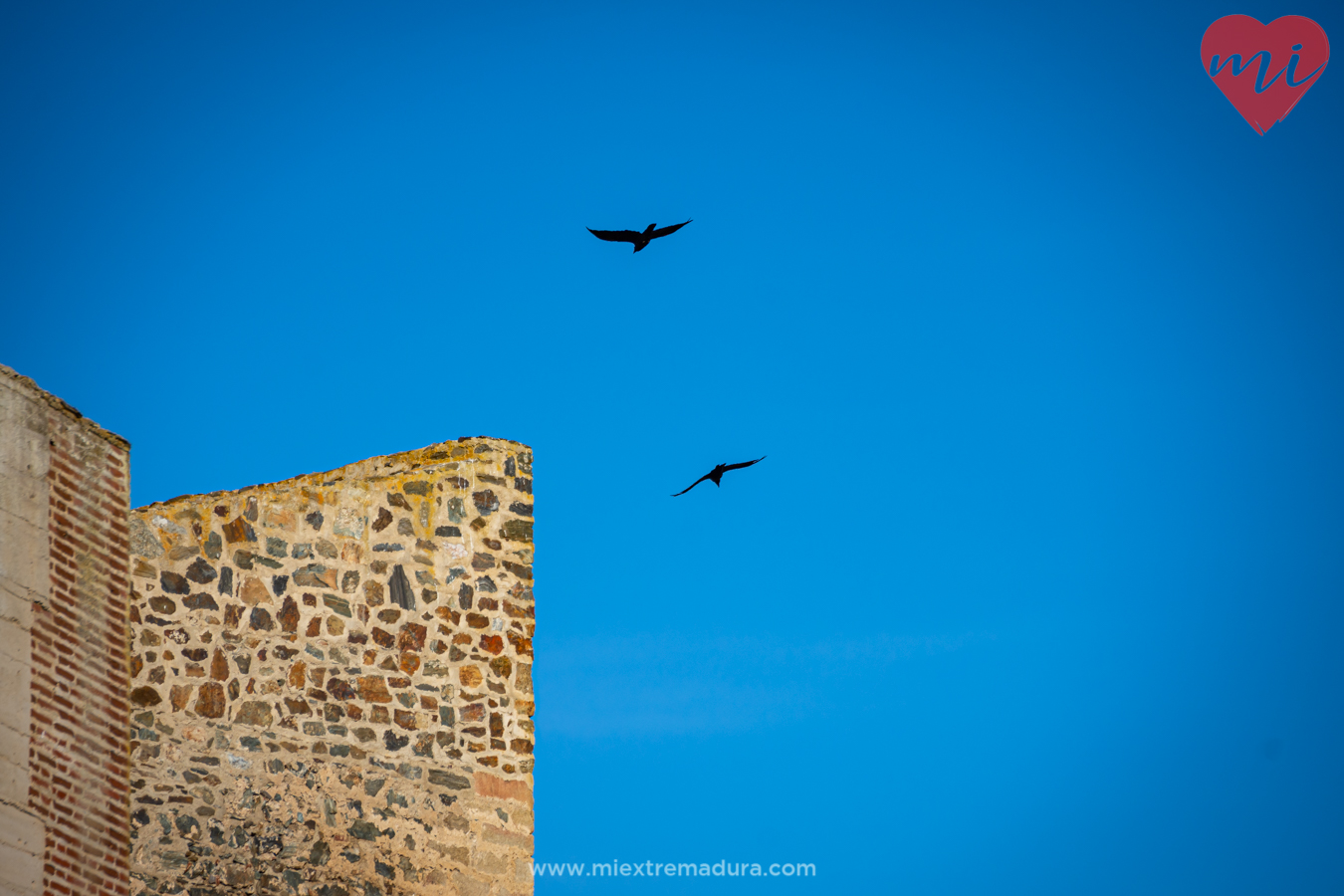 Castillo-alcazaba-fortaleza-Montemolin