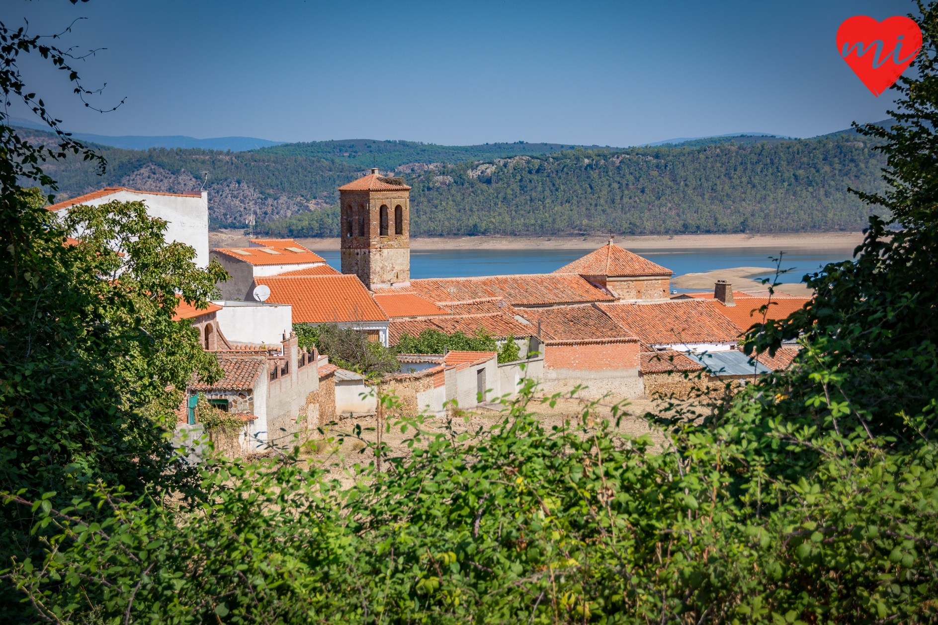 helechosa-de-los-montes-berrea-ciervos-citur